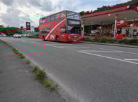 Fears have been raised town’s appearance is being ruined by weeds