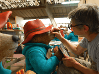 Land's End among locations to host Paddington statue ahead of new film