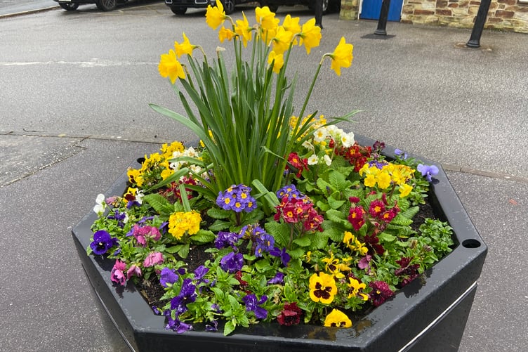 A colourful display in St Austell earlier this year. Picture: Andrew Townsend