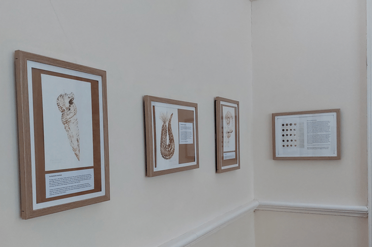 Artist Naomi Hart unveils latest exhibition and clay workshop at Falmouth Art Gallery