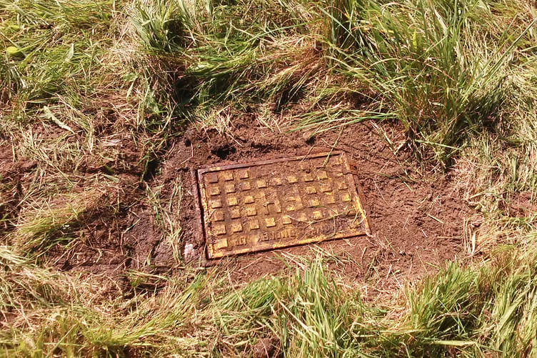 The fire hydrant had been obscured by earth and long grass.