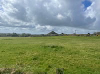 Land sells for above guide price