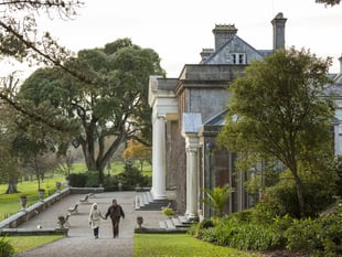 Dogs to be permitted in Trelissick Garden