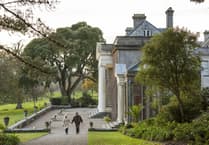 Dogs to be permitted in Trelissick Garden — but not everyone is happy about it