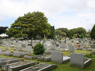 Schoolchildren using cemetery for lessons is ‘disrespectful’
