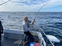 Falmouth to host first UK Bluefin Tuna Championship this weekend