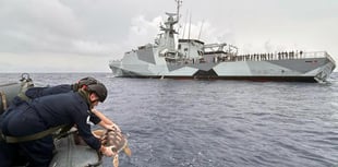 Rehabilitated sea turtles repatriated thanks to the Royal Navy