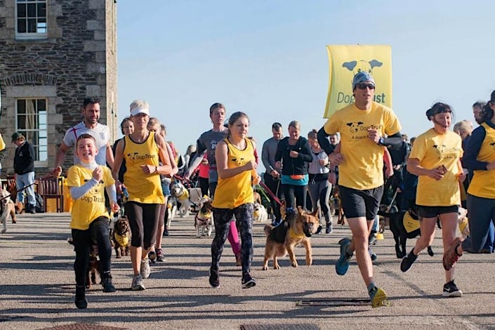 The Doggy Fun Run
