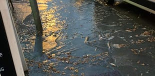 Businesses impacted after sewage spilled onto street 