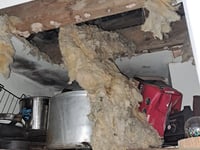 Filthy restaurant with rat infestation to pay £4,646 for breaches