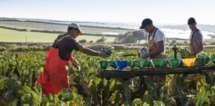 New awards to celebrate food and drink champions