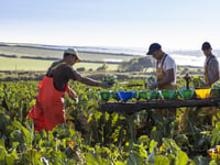 New awards to celebrate food and drink champions