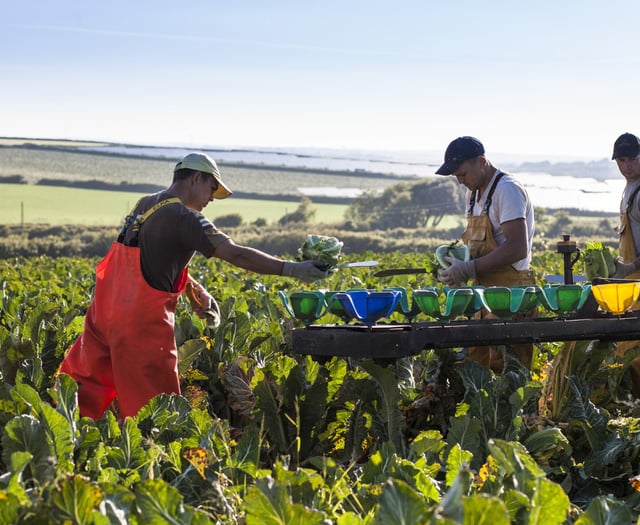 New awards to celebrate food and drink champions