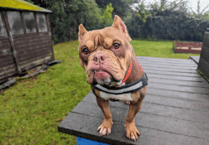 RSPCA centre launches initiative to support animals in need of care