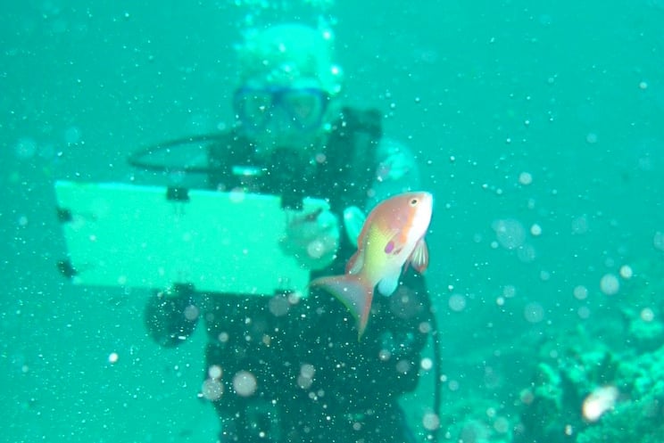Artist Tony Foster drawing underwater