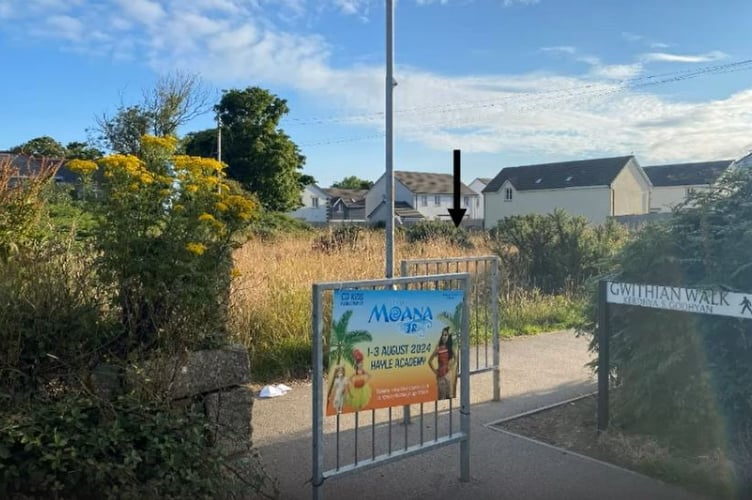The houses would be built on this site, off Barberry Way in Camborne