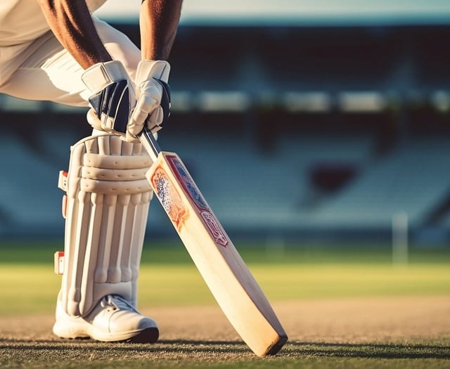 Glow in the dark cricket comes to Cornwall