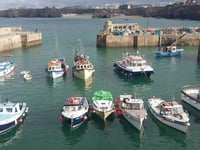 New initiative launched to protect and promote biodiversity in Newquay