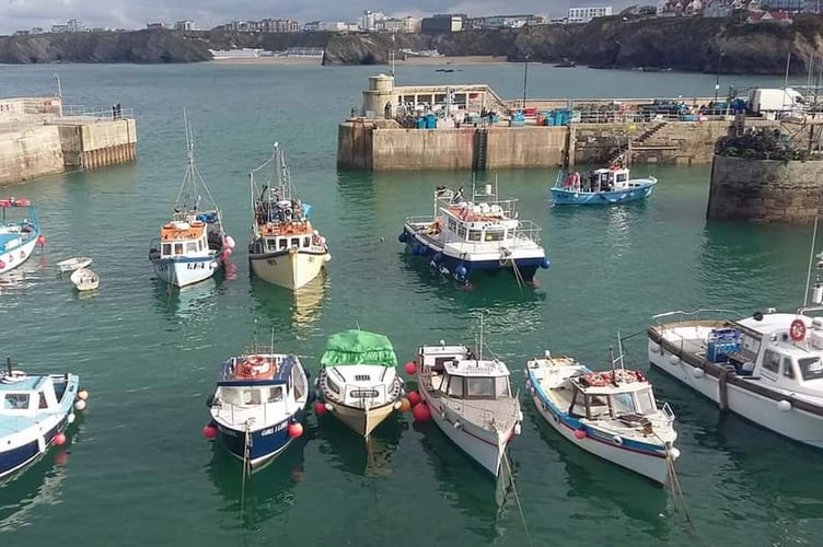Newquay Harbour