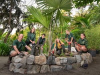 Critically endangered palm becomes rarest plant at Eden Project