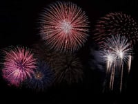 Should we ban fireworks? Millions sign petition asking for change