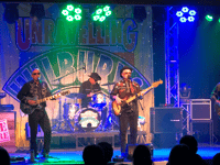 Top tribute show is coming back to the Acorn