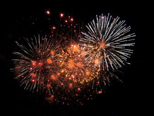 Remember, remember Truro's Bonfire Night