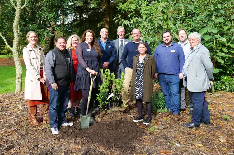 CATA's board of directors plant a tree at Trelissick to mark 50 years
