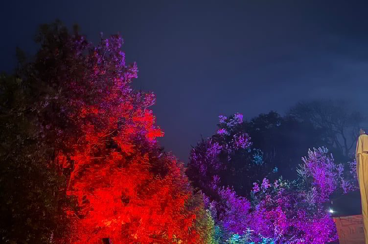 Trenance Trees and Tales: Lantern Parade and Christmas Lights Switch On 2