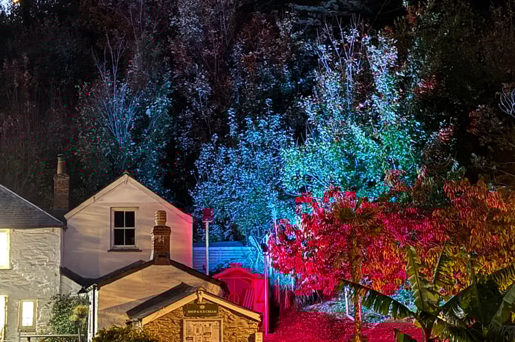 Trenance Trees and Tales: Lantern Parade and Christmas Lights Switch On.