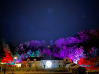 Trenance hosts spectacular day of Hallowe'en fun