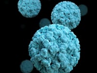 Help guard against norovirus 