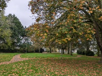 Town council secures PCC funding to extend CCTV to Castle Park