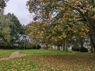 Town council secures PCC funding to extend CCTV to Castle Park