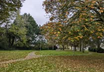 Town council secures PCC funding to extend CCTV to Castle Park