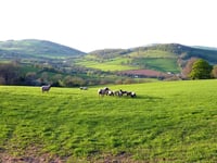 Council to debate "Supporting Our Farmers" motion amid tax changes