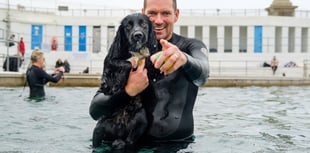 Hundreds of pups take the plunge at Jubilee Pool