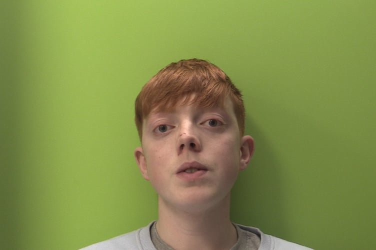 Trevor Rowsell, 18 of Rosebery Road, Exmouth, was sentenced to two years in a young offenders' institution. (Picture: D&C Police)