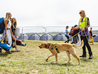 Officers are set for Boardmasters