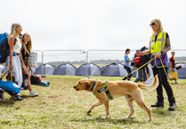 Police made just six arrests during the Boardmasters music festival