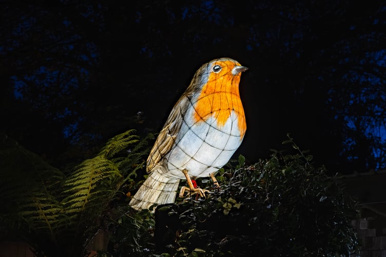 An impressive lantern robin will be among the illuminations.