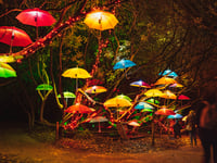 New wildlife inspired installations for night garden