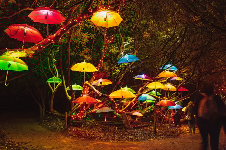 The night garden at the Lost Gardens of Heligan will feature enchanting displays.