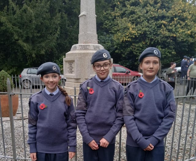 Pool Academy mark Remembrance Day with special assembly