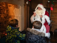 Trelissick Gardens ready to help visitors get into the festive spirit