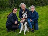 Company takes the lead to help dog rescue and rehoming centre