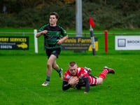 Eight-try Saints slice through Ivybridge in big home win