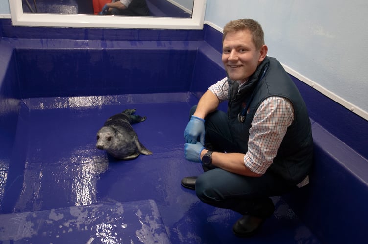 Vet Sam Wheeler with Purple the seal pup.