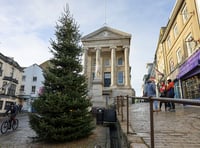 Penzance's Christmas tree goes up ahead of Storm Bert