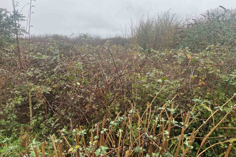 Land Adjacent to Penzance Park & Ride.